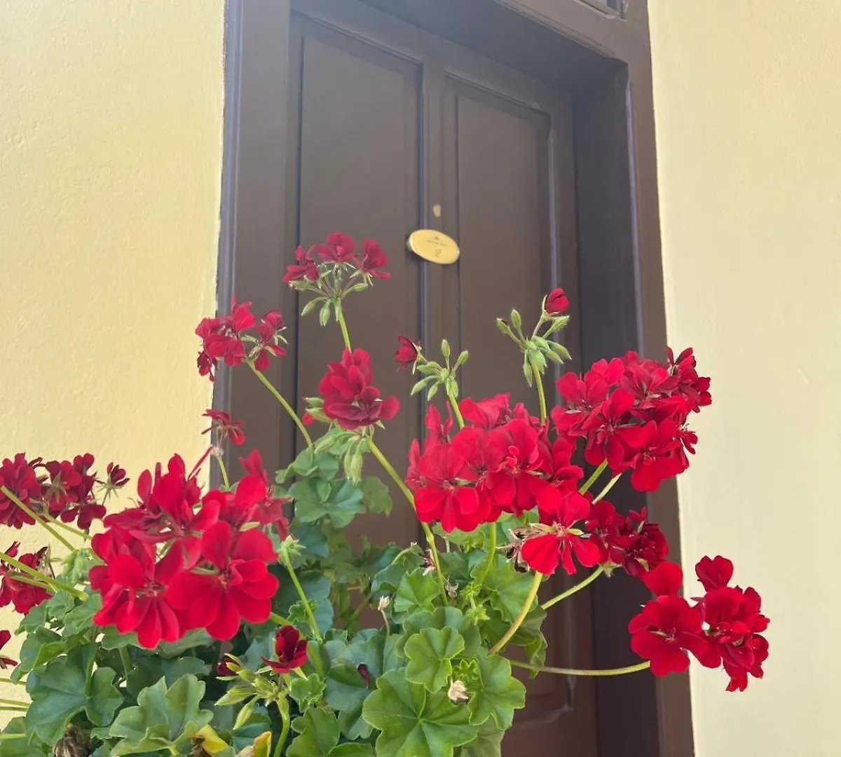 Hotel Depandance Eleonora Oristano Pensjonat